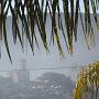 Visão Panorâmica da Cidade apartir da Pousada - Amanhecer com Neblina